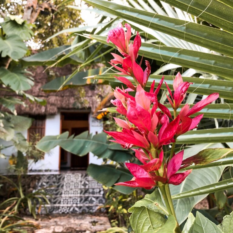 Hotel Cenote San Ignacio