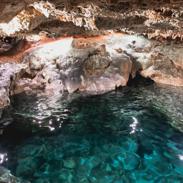 Pase General Cenote San Ignacio