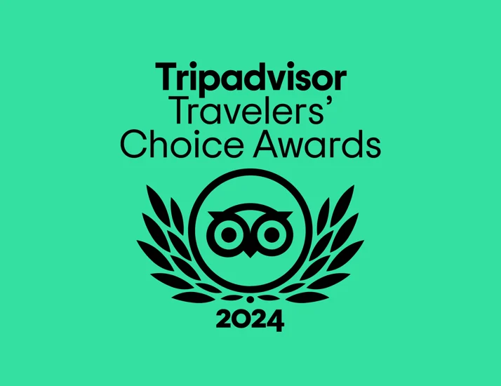 tripadvisor 2024 travellers choice awards