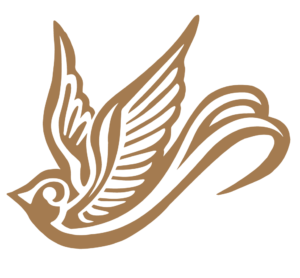 Cenote San Ignacio Logo