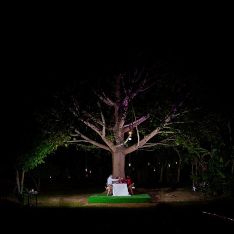 Noche Romantica Cenote San Ignacio