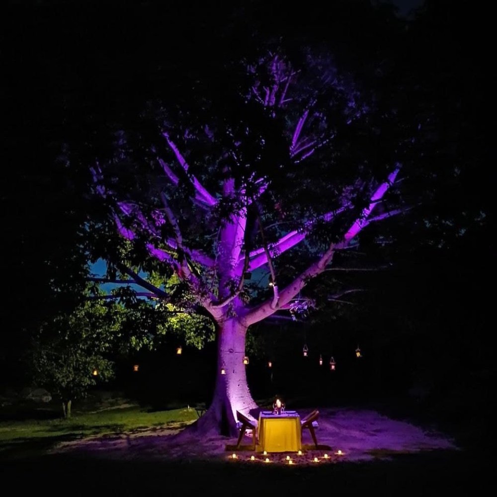 Mesa para dos bajo el árbol iluminado en Cenote San Ignacio