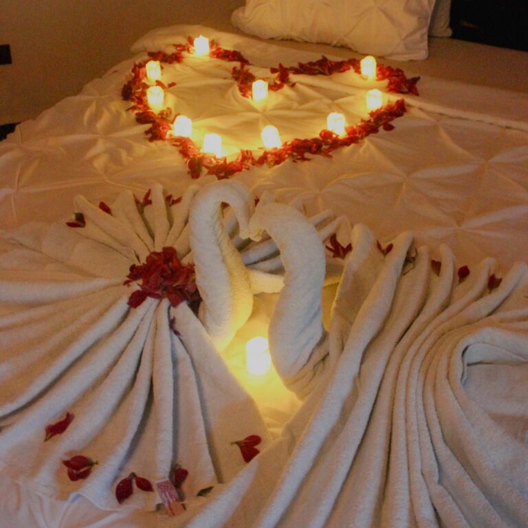 Noche Romantica Cenote San Ignacio