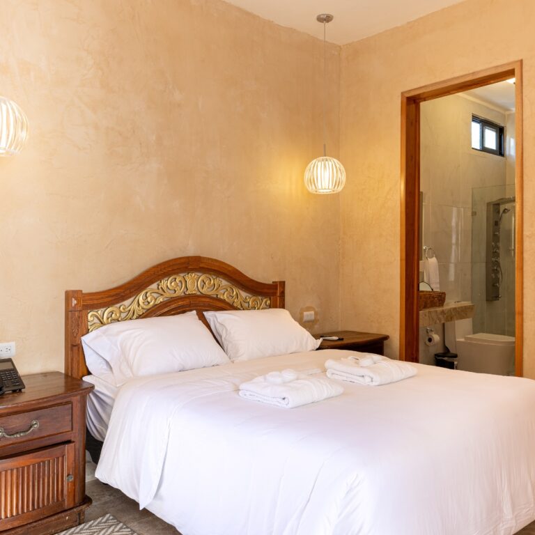 MÁSTER SUITE Casa del Patrón