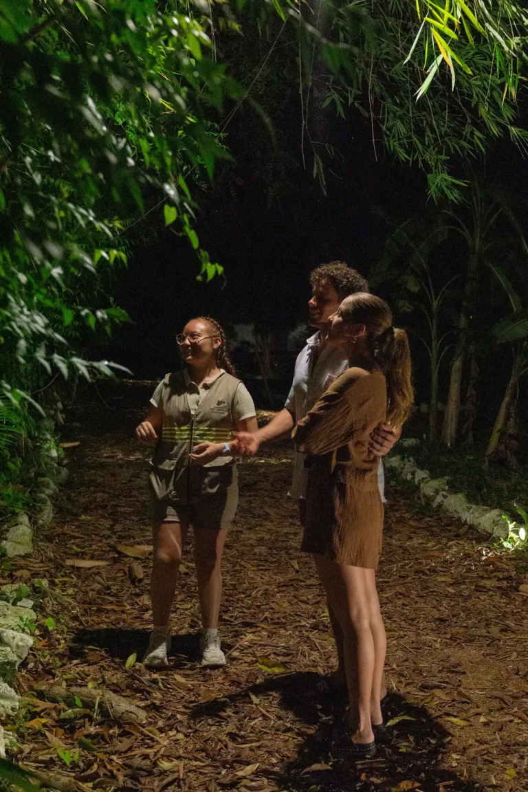 Guía acompaña a visitantes por un sendero del parque de noche